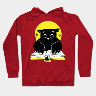 Owl Reading A Book Hoodie